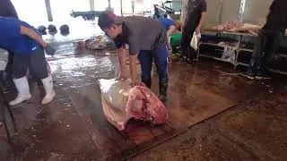 Authentic Bluefin Tuna Cutting Experience