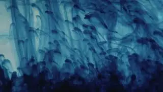 Blue Ink Water Overlay Animated background For Premiere Pro | Freelance VIdeo Editor | Talal V.
