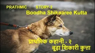 Prathmic I Story-2   बूढ़ा शिकारी कुत्ता - Summary I Boodha Shikaaree Kutta I Shiksha Education Talks