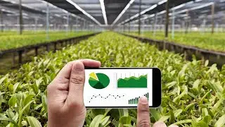Risk Management in Indian Agribusiness Types and Coping Strategies