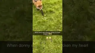 When the foxyo has too much prvnci on his mind they not worried bout no chicken
