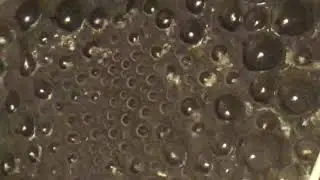 10 second of water boiling
