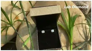 1 Carat Lab Grown Diamond Earrings Design With Price In India