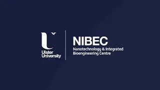 An Overview of NIBEC