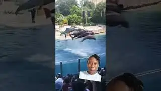 Dancing fish#fishviral#viralvideo#fyviral