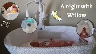 Silicone Baby Willow&rsquo;s Night Time Routine