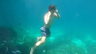 Cebu island hopping tour || free dive @ gilutungan