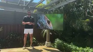 Everything You Need to Know Before Buying an Outdoor TV