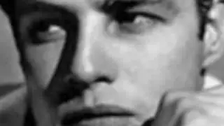 Young Marlon Brando = Sexy