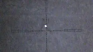 sub 12 ft/lb air rifle hunting rabbits