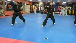 Grand Master Choi teaching