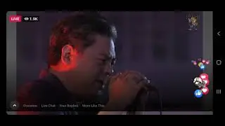 wakasan - razorback