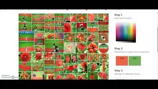 ABLT: Introduction to TinEye Multicolr