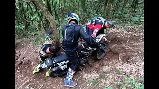 Domingo nas Trilhas - 11/01/2026