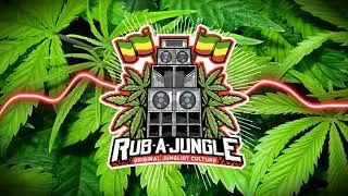 🟩🟨🟥 Selecta J-Man & Rider Shafique - Sound Business
