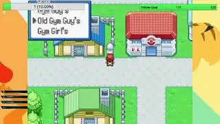 I'm a gym leader! Pt1
