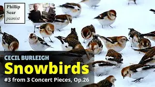 Cecil Burleigh: Snowbirds, Op.26 No.3