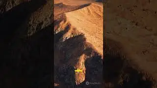 Olympus Mons: Mars' Summit Collapse in a Flash! #youtubeshorts #facts #businessgrowth