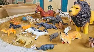 Together in the Wild: A Lion, Zebra, and Horse Big Adventure For Toddlers!