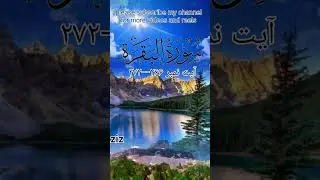Quran Urdu Translation!Al Baqra surah no 2 ayat no 266--272! قرآن اُردو ترجمہ