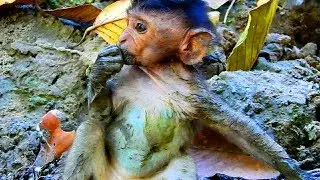 Poor Timo ! What is that on Timo, Look so deeply hard even baby very naughty, Lovely baby 911