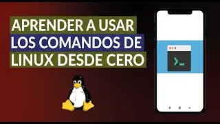 C&oacute;mo Aprender a Usar la Terminal y Comandos B&aacute;sicos de Linux Desde Cero