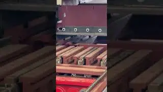 Efficient Production with Dongyue Burn Free Brick Making Machines