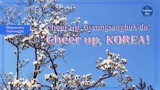 Cheer up, Gyeongsangbuk-do! Cheer up, Korea!