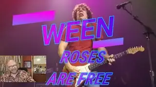 Ween - Roses Are Free (Live in Chicago) | Reaction
