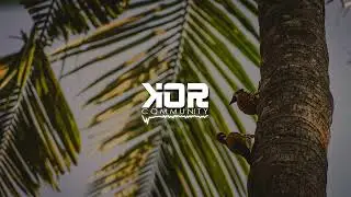 KOHENNYYY X BWE1GHER - DRINK IT UP CVR - [REGGAE 2025]