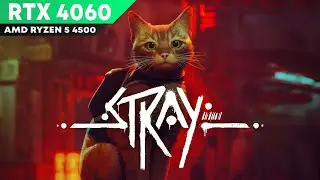 Stray - RTX 4060 8gb Amd Ryzen 5 4500