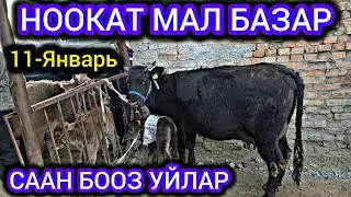 НООКАТ МАЛ БАЗАР👍 СААН БООЗ УЙЛАР 11 ЯНВАРЬ #байкж 
