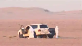 بطولة فزاع للهدد - اليوم الرابع عشر - الفترة المسائية