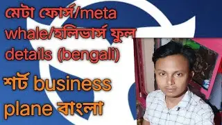 Meta ফোর্স/meta whale/holiverse (bengali) business plane #t&s #ces #plane #metaforce #metawhale #hc