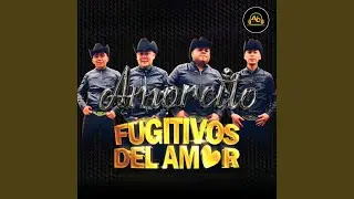 Amorcito