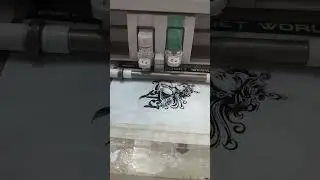 Mobile Skin Lamination Process 🔥 | Easy & Professional Look | Shorts