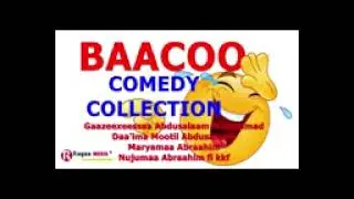 BACCO JAFAR ALI