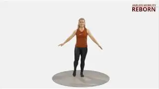 Ageless Mobility Reborn System