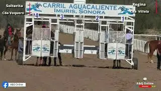 La Solterita vs La Regina Carril Agua Caliente 01/02/2026