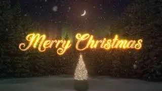 Merry Christmas!
