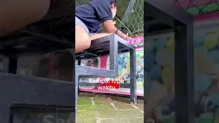 Saatnya bermain mandi bola #daylievlog