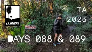 Days 088 & 089 - Waione Cokers Track \ 42 Traverse \ Owhango \ Taumarunui - Te Araroa NOBO 2025