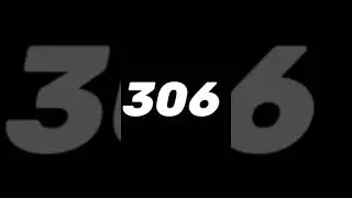 #306