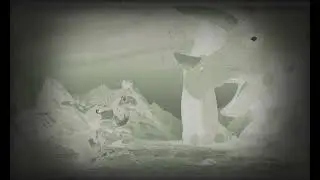 Chomper's Moments | The Land Before Time