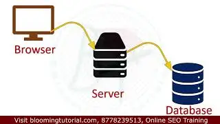 what is backend of website | backend | what is web server connection with database in backend in SEO