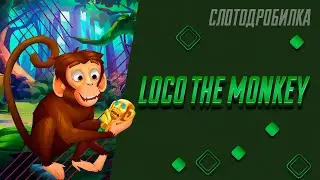 Бонусная игра слота Loco the Monkey от Quickspin | Множитель х240