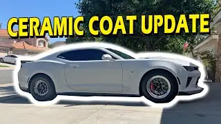 Is the Ceramic Coat Lasting? CQuartz Finest Reserve Update