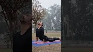 Yoga Pose #youtubeshorts #shorts #youngyogi