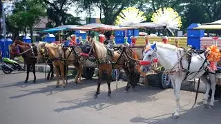 LAGU KUDA DELMAN ISTIMEWAH ~ KUDA DELMAN BADUT