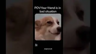 |Try not laugh|Dog edition| #doglover #funny #comedy #roast #shorts